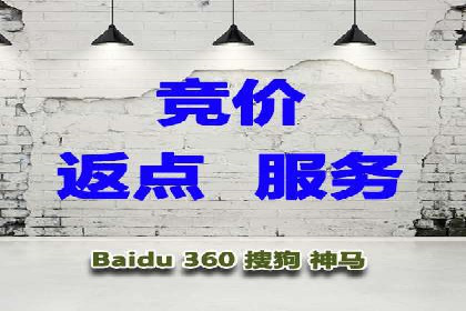 百度推广代运营公司案例分析