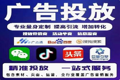 短视频平台的SEM推广实践与效果